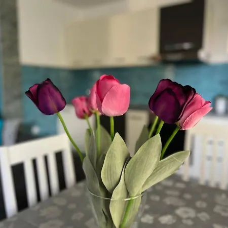 Διαμέρισμα Mucic *