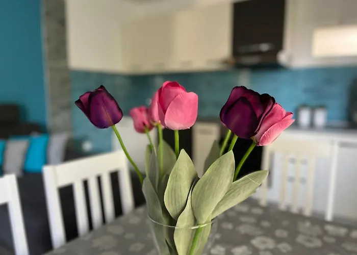 Διαμέρισμα Mucic *